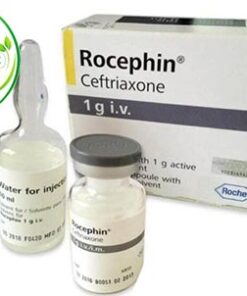 Rocephin 1g I.V