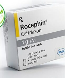 Rocephin 1g I.V