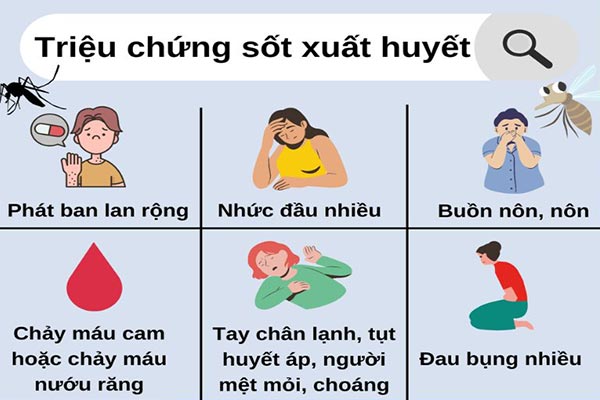 Các triệu chứng khi bị sốt xuất huyết