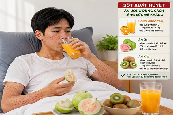 Cách Phòng Ngừa Sốt Xuất Huyết Hiệu Quả